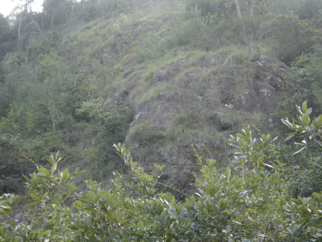 山里的照片....