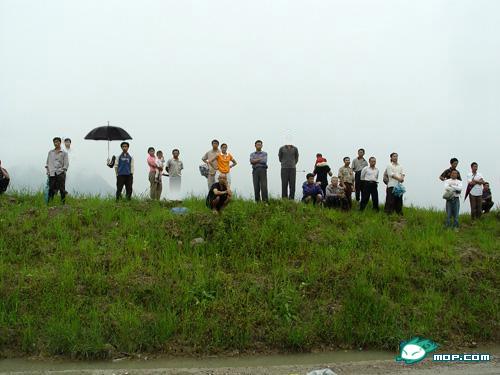 村长把自由女神像拖到村子了