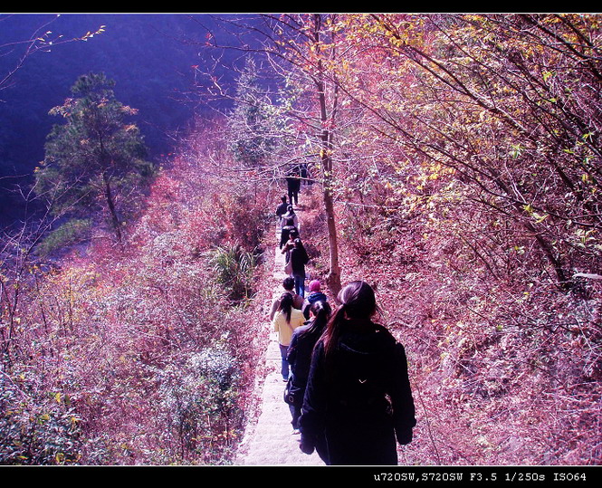 天台东北野溪沟------大同银板坑、下深坑探奇