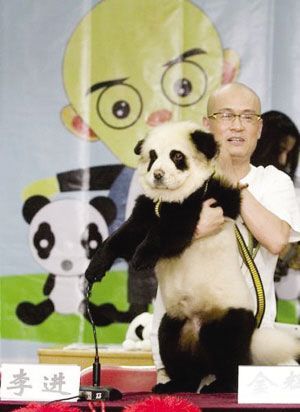 松狮染成熊猫要花上千元 宠物美容利润丰厚(图)