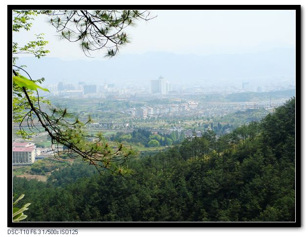 另一半天台城