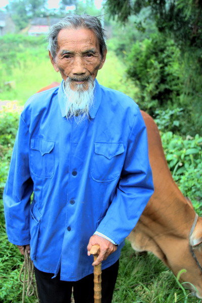渐淡的记忆