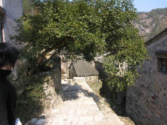 山村野曲