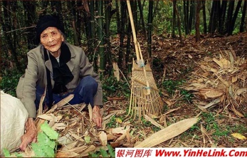 转帖]一个老人家，就这样饿死了