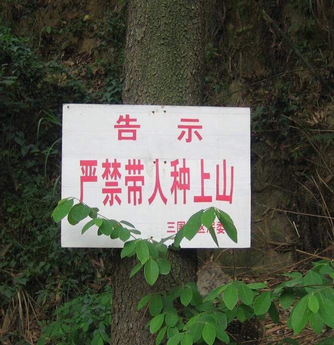 绝对的境界哦