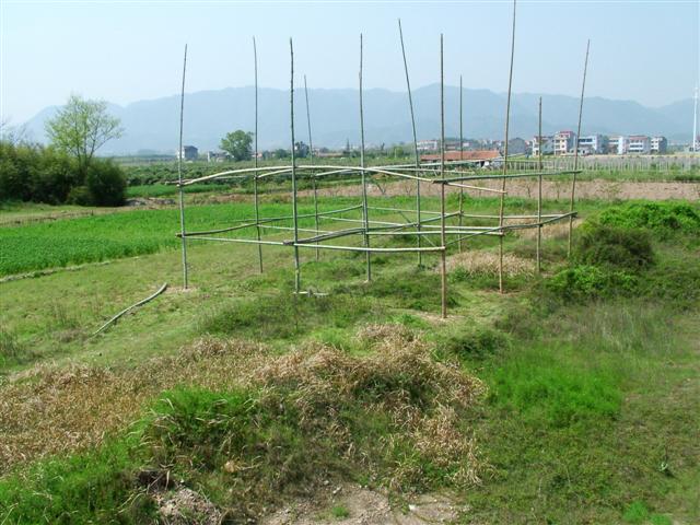 天台县国土局工作人员围殴六旬老人