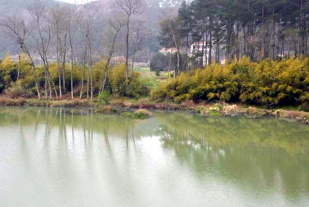 始丰溪小景
