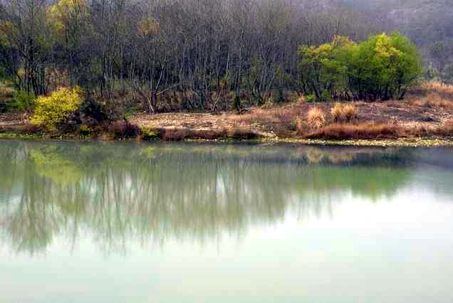 始丰溪小景