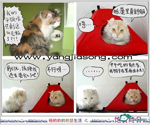 上传点图..满有意思的!