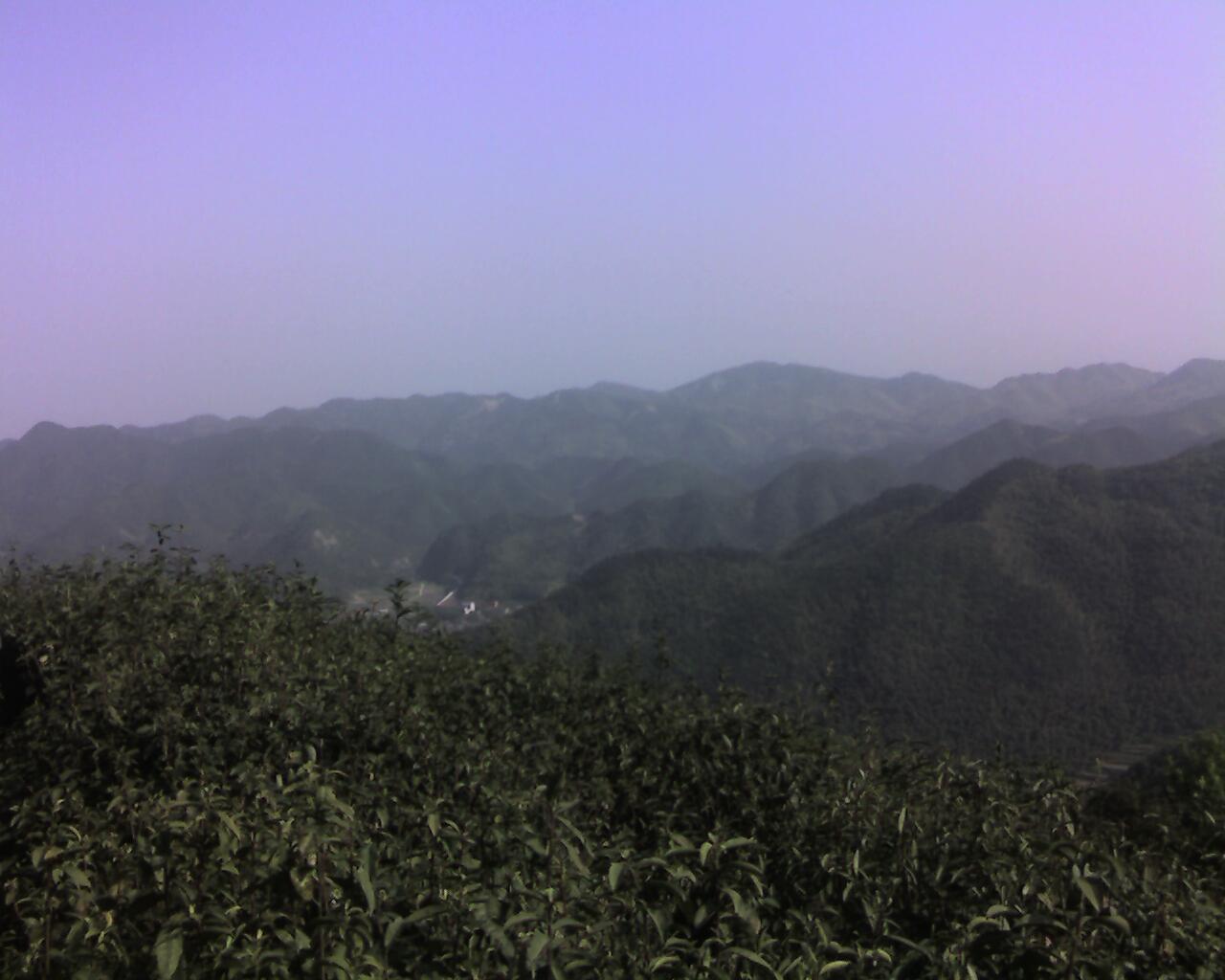 手机摄影专题帖