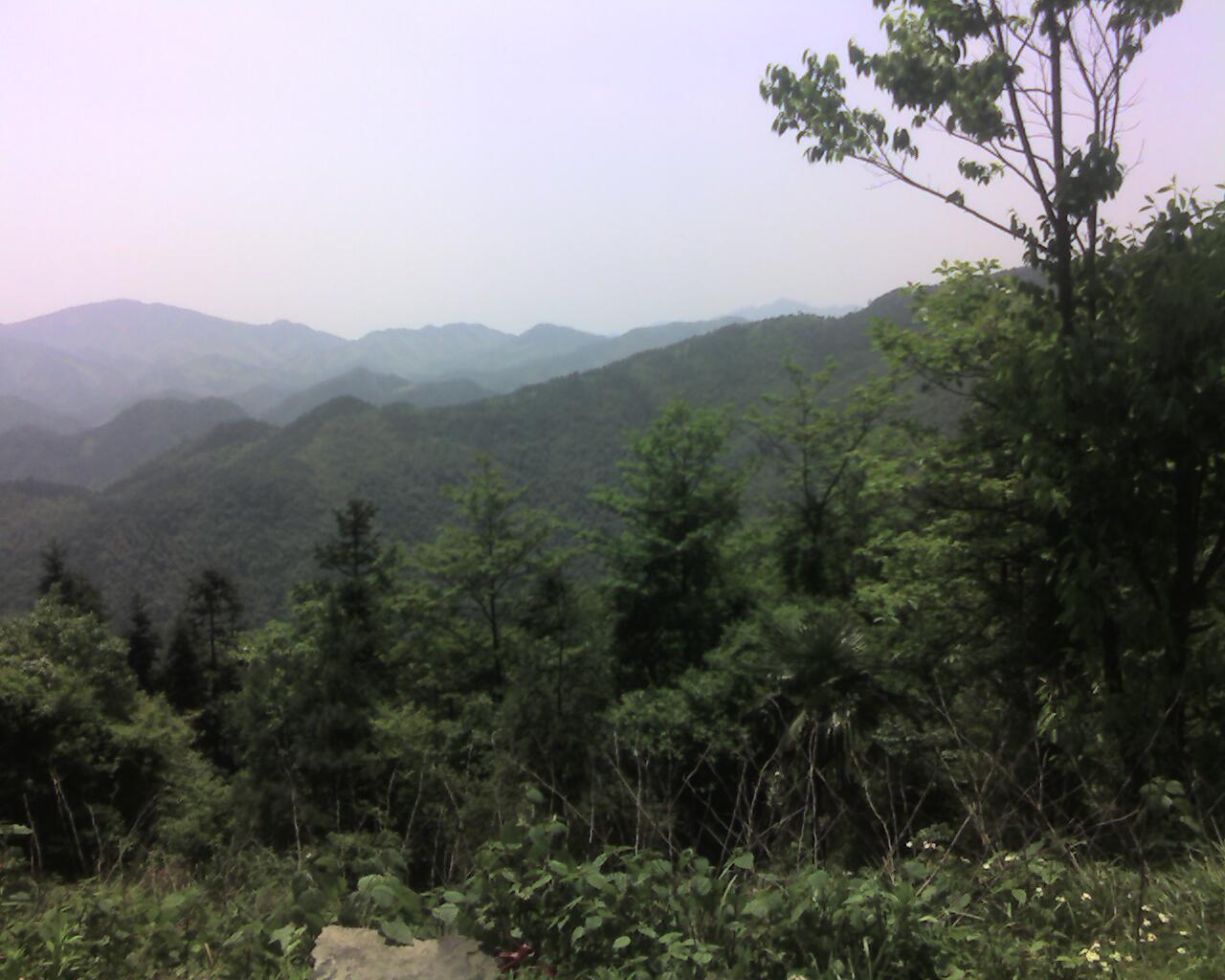 手机摄影专题帖