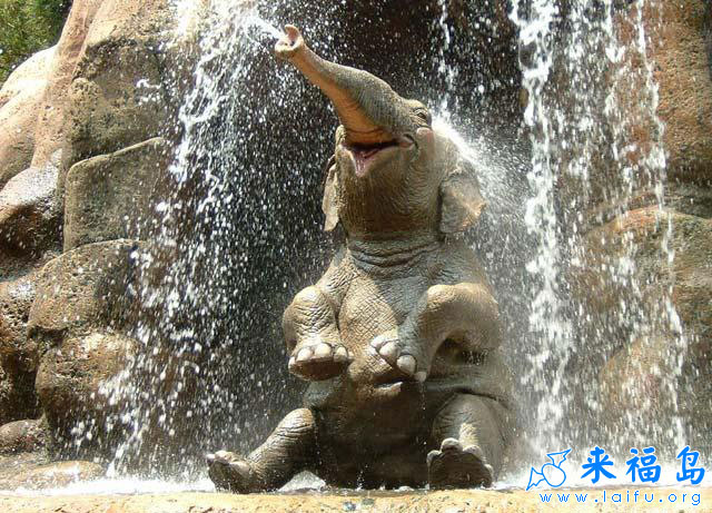 随便玩玩撒