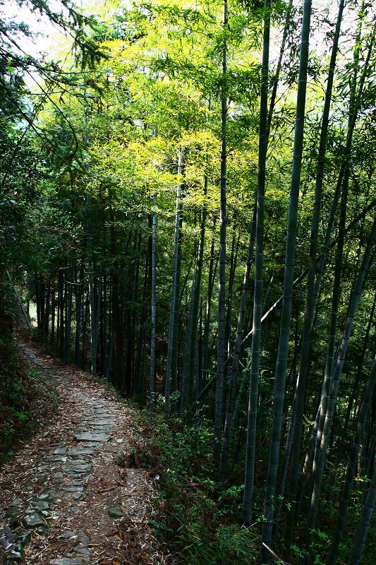 仙居公盂--浙江的香格里拉