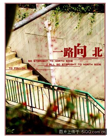 [贴图]再开一贴另类个性图图~