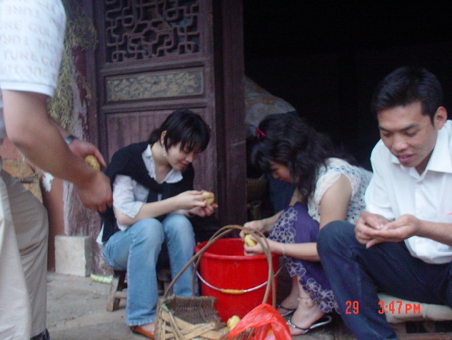 塔头寺活动照片.
