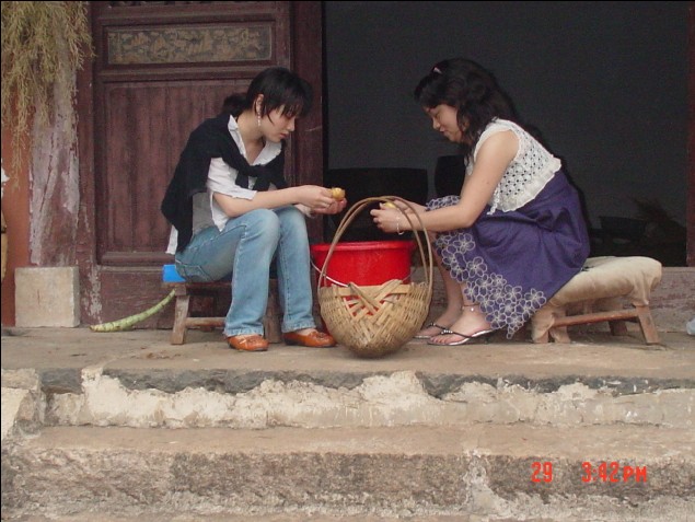 塔头寺活动照片.