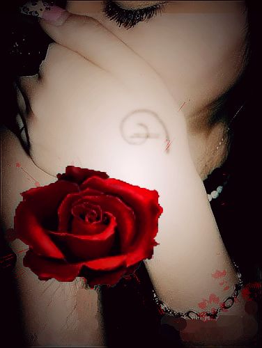 关于如何上传头像，签名档的图片