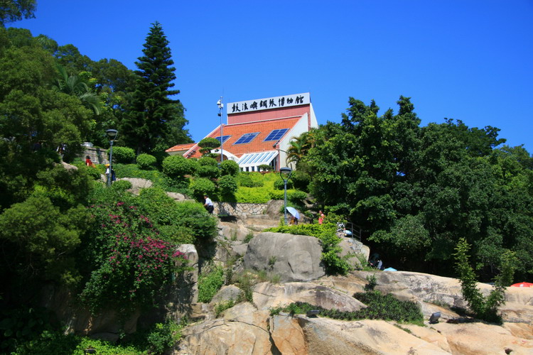 厦门游回来发几张