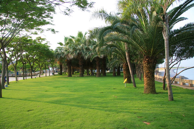 厦门游回来发几张