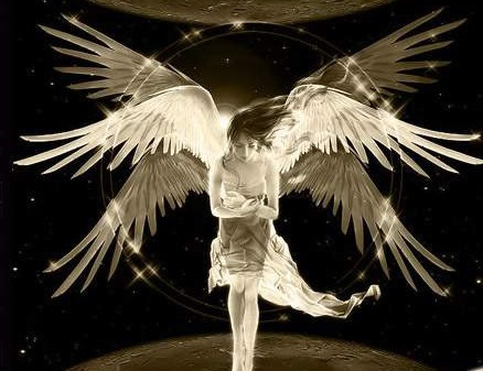 关于如何上传头像，签名档的图片