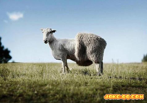 超级搞笑