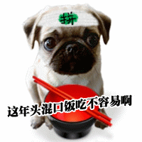 欢迎大家加入论坛灌水协会圈子！！