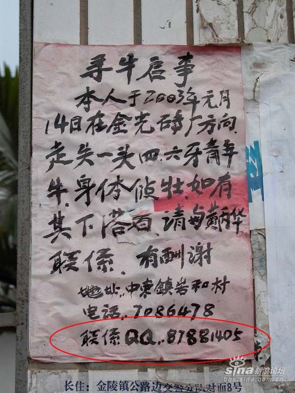 寻牛启示