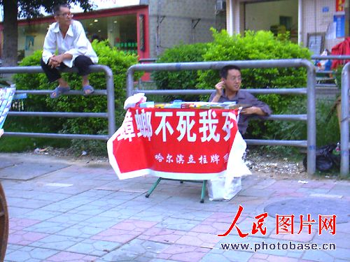 消灭蟑螂的灵药