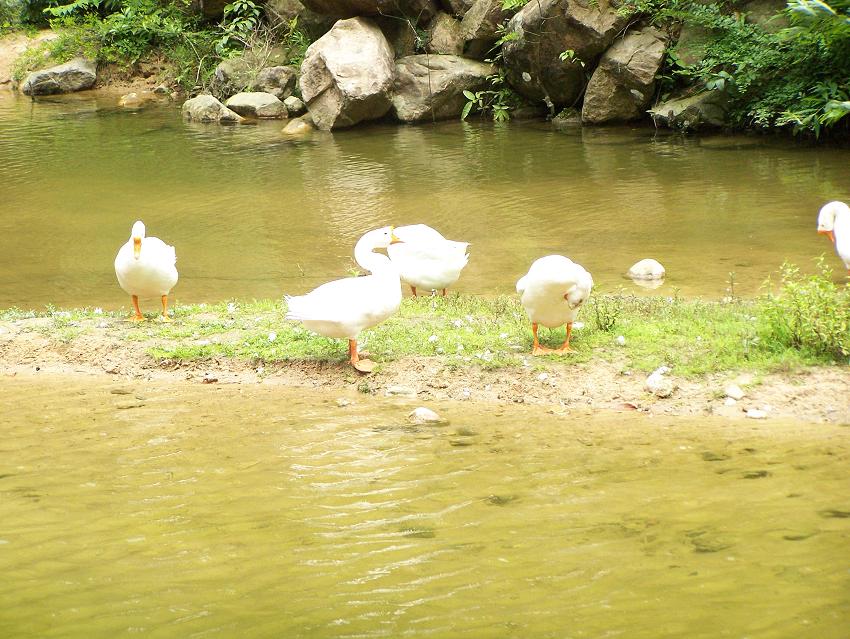 清凉夏天休闲绝处－－琼台仙谷