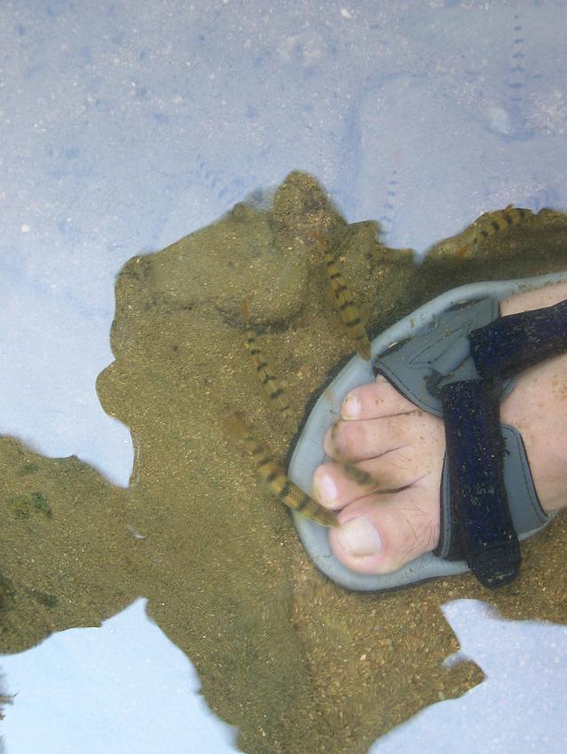 清凉夏天休闲绝处－－琼台仙谷