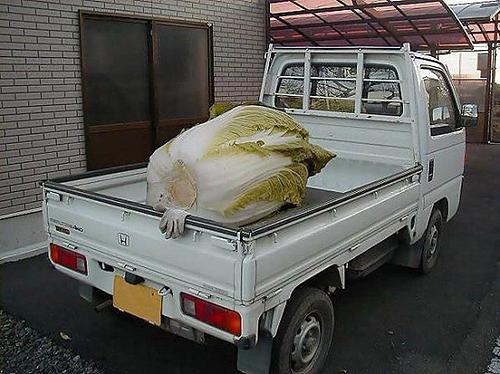 n个世界之最大怪物