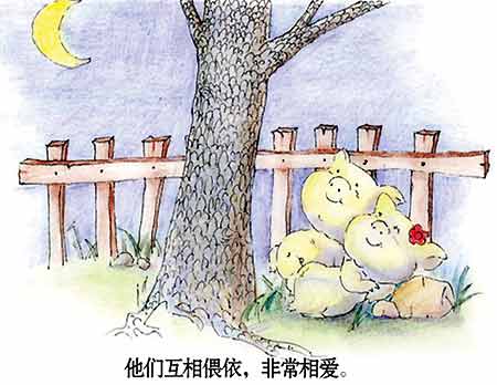 两只小猪猪的故事