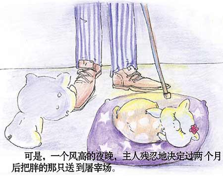 两只小猪猪的故事