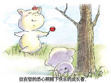 两只小猪猪的故事