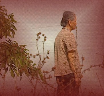 ╰※╮娘您怎么哭了╭※╯不顶别进