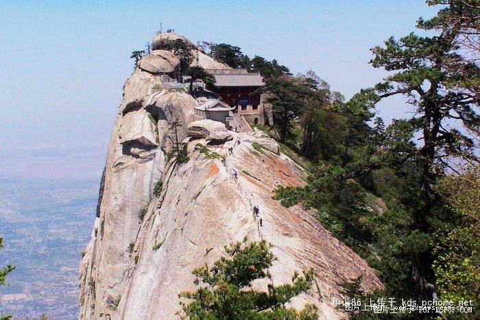 只有疯子才会去