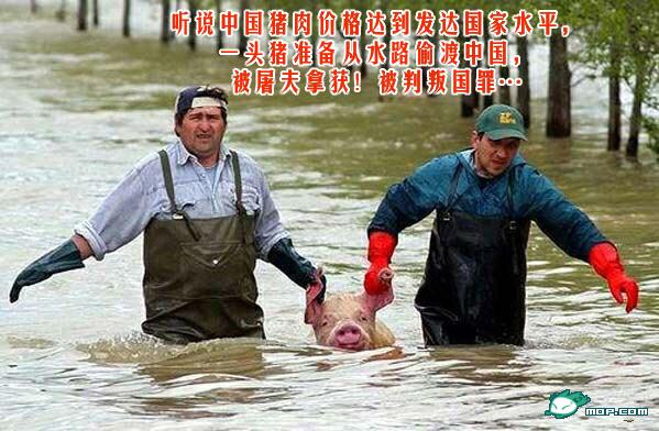 猪肉涨价之后。。。