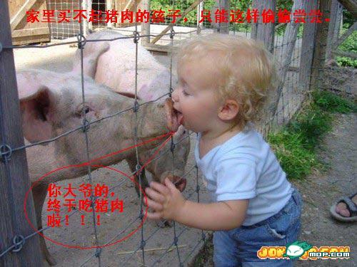 猪肉涨价之后。。。