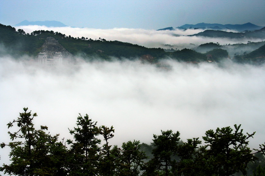 雾锁桐柏山