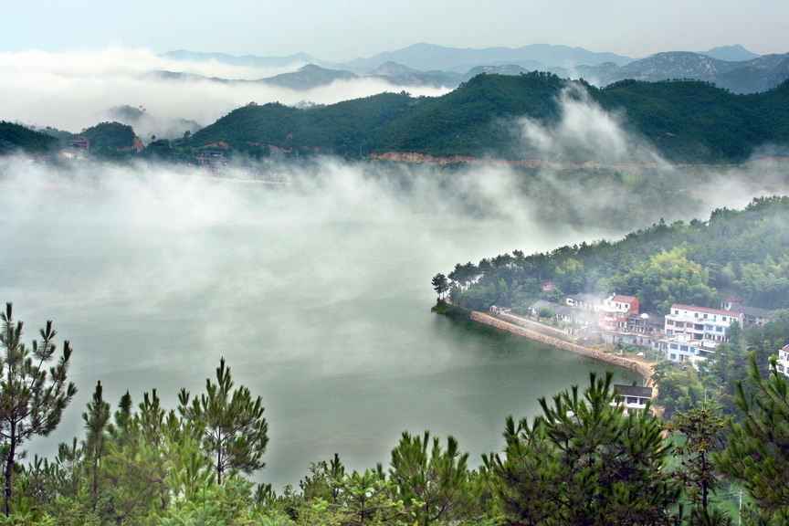 雾锁桐柏山