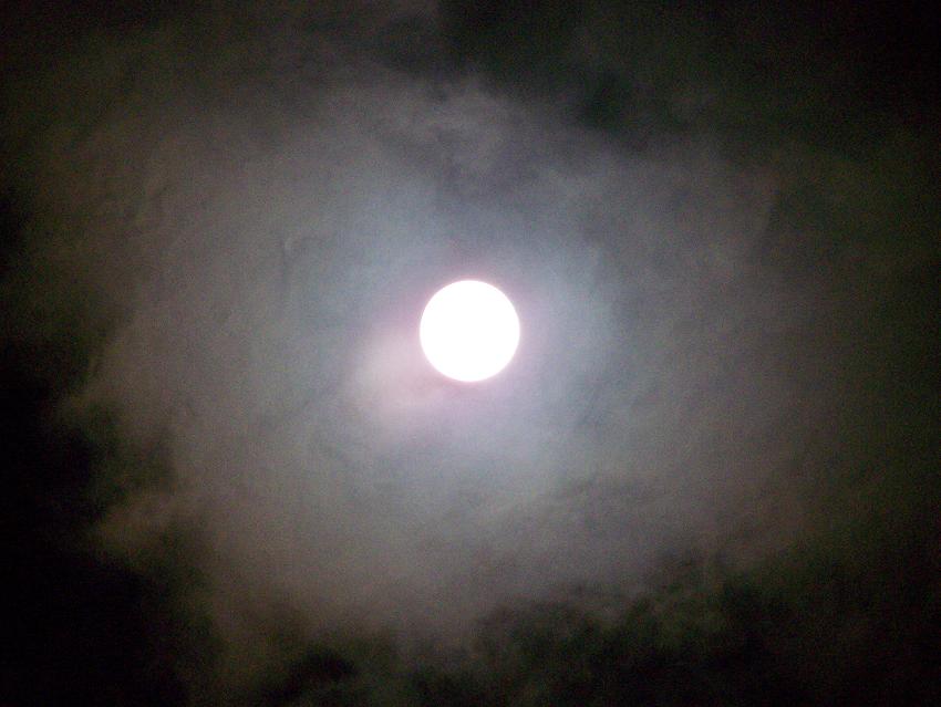 琼台夜月