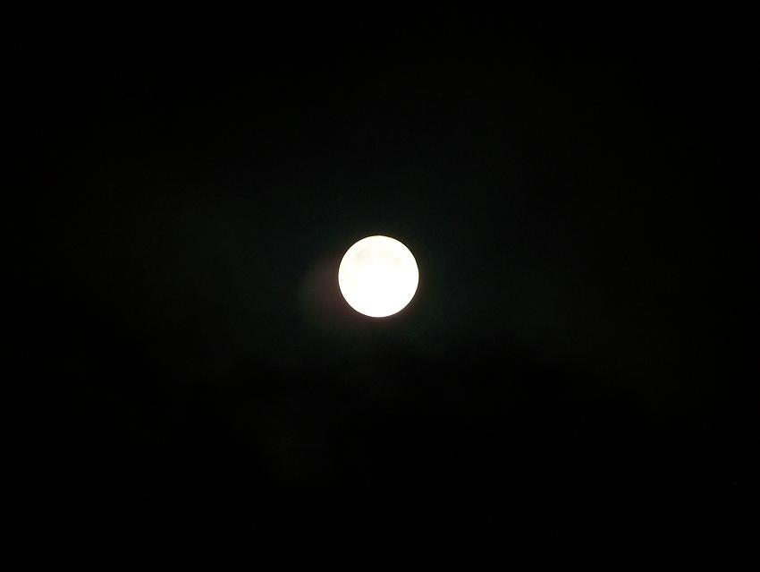 琼台夜月