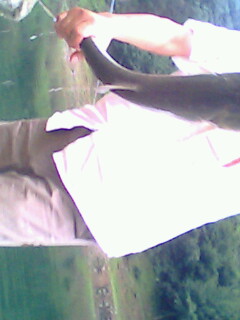 今天下午的收获............