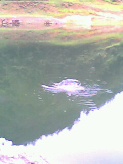 今天下午的收获............