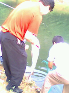 今天下午的收获............