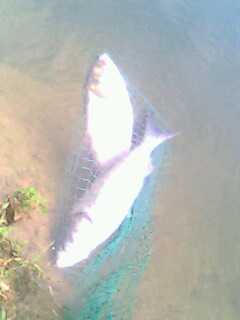 今天下午的收获............