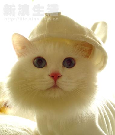⊙⊙⊙我想变成一只猪⊙⊙⊙