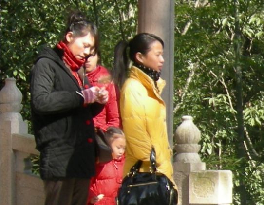2008年元旦郊游活动..录象及照片..