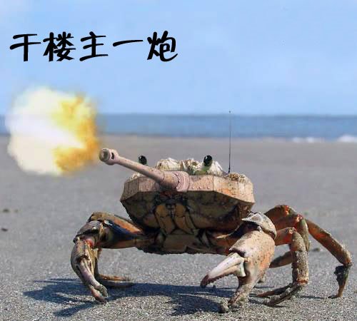 [原创]我在暖姑娘家发的帖子