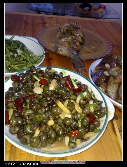 论坛红人暖的相片